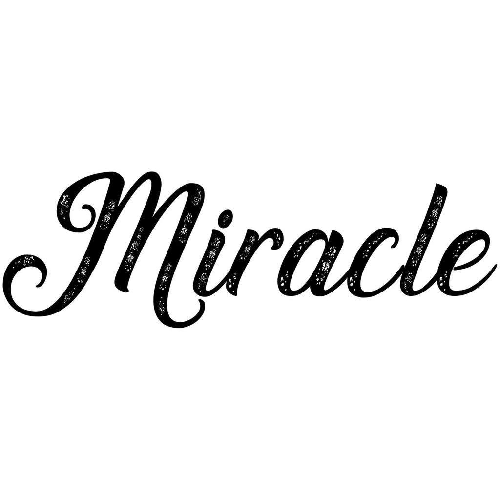 Miracle Christmas Lighting