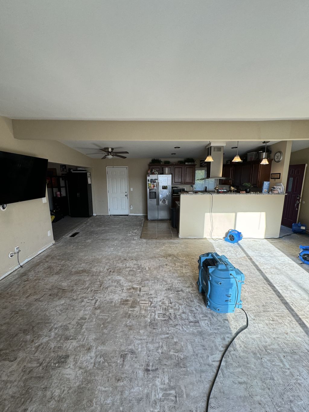 Mitigation Dry-out services