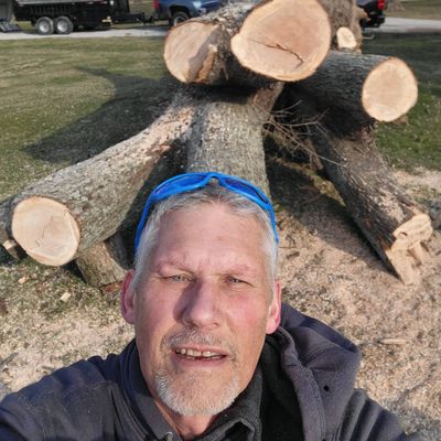 Avatar for Uplifting Tree Service, LLC.