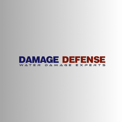 Avatar for Damage Defense