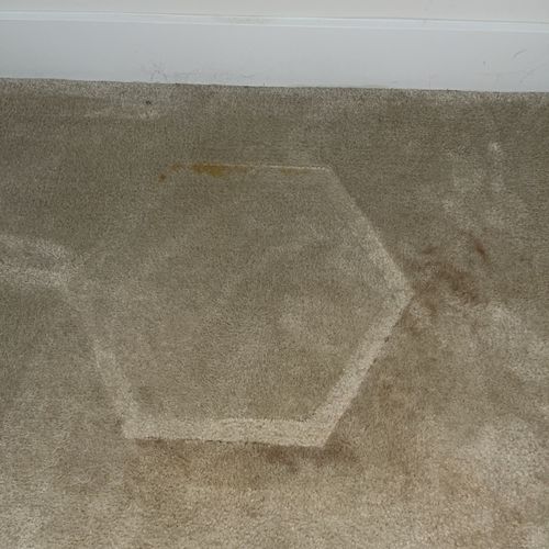 Carpet Cleaning