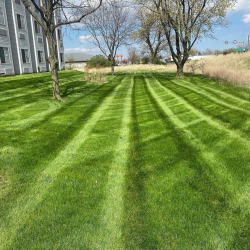 Full Service Lawn Care