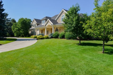 Sun and Shade Lawn