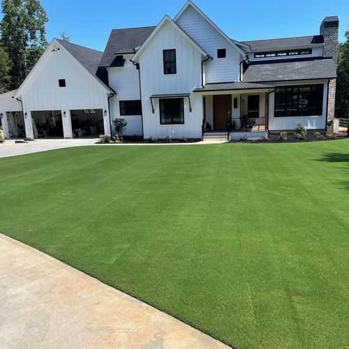 Tahoma 31 Bermudagrass Lawn