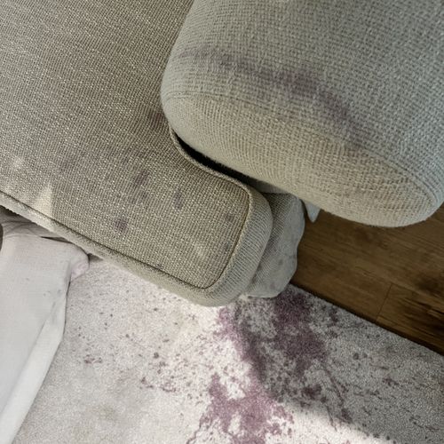 Upholstery and Furniture Cleaning