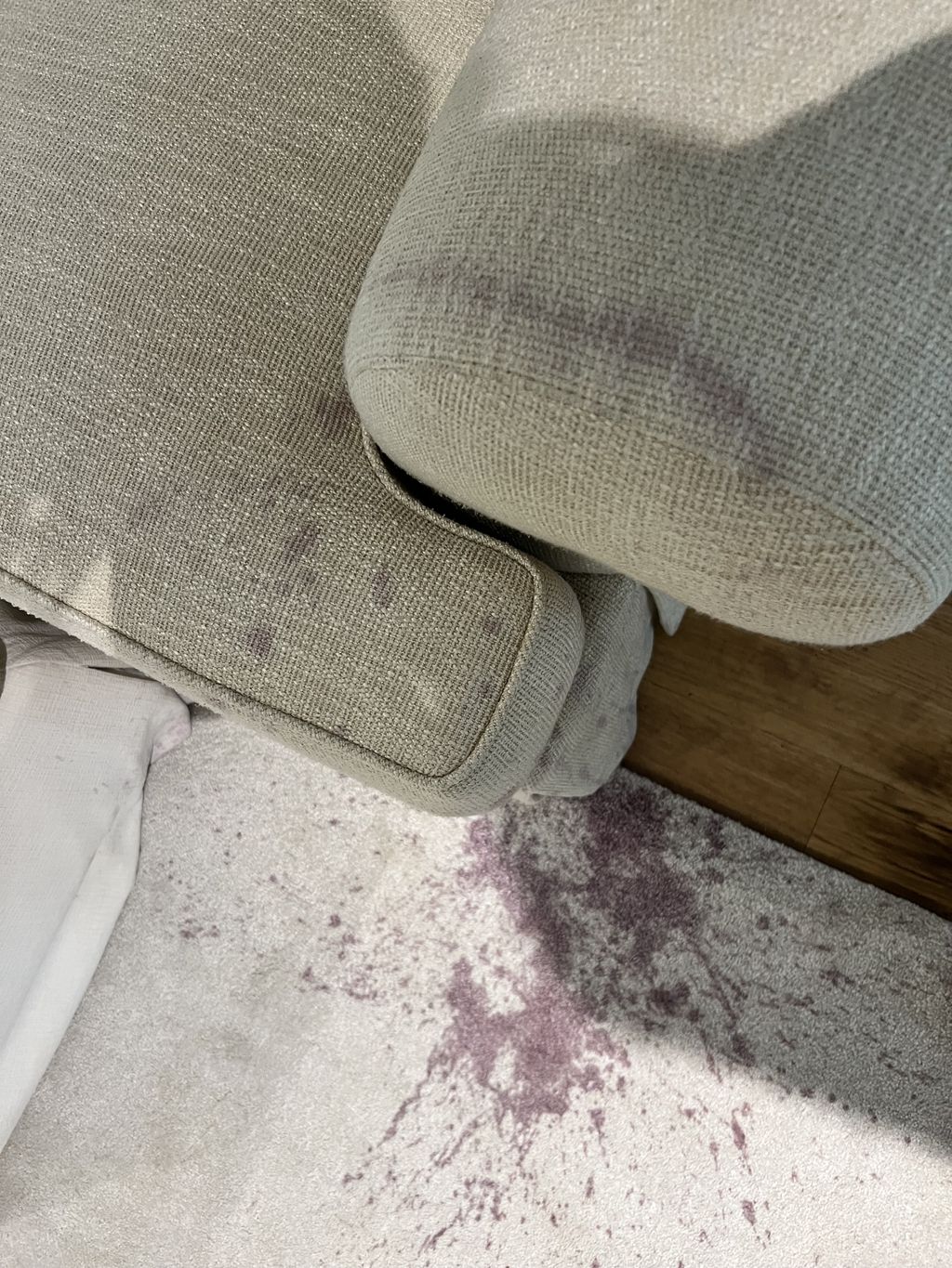 Upholstery and Furniture Cleaning