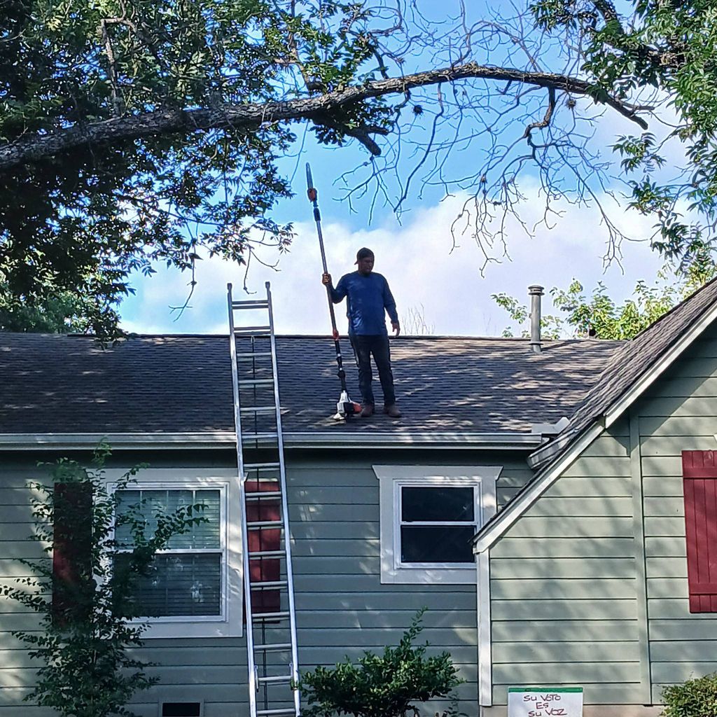 H.Jimenez Tree Services Plus