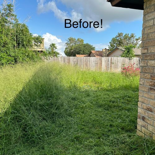 Lawn Mowing and Trimming