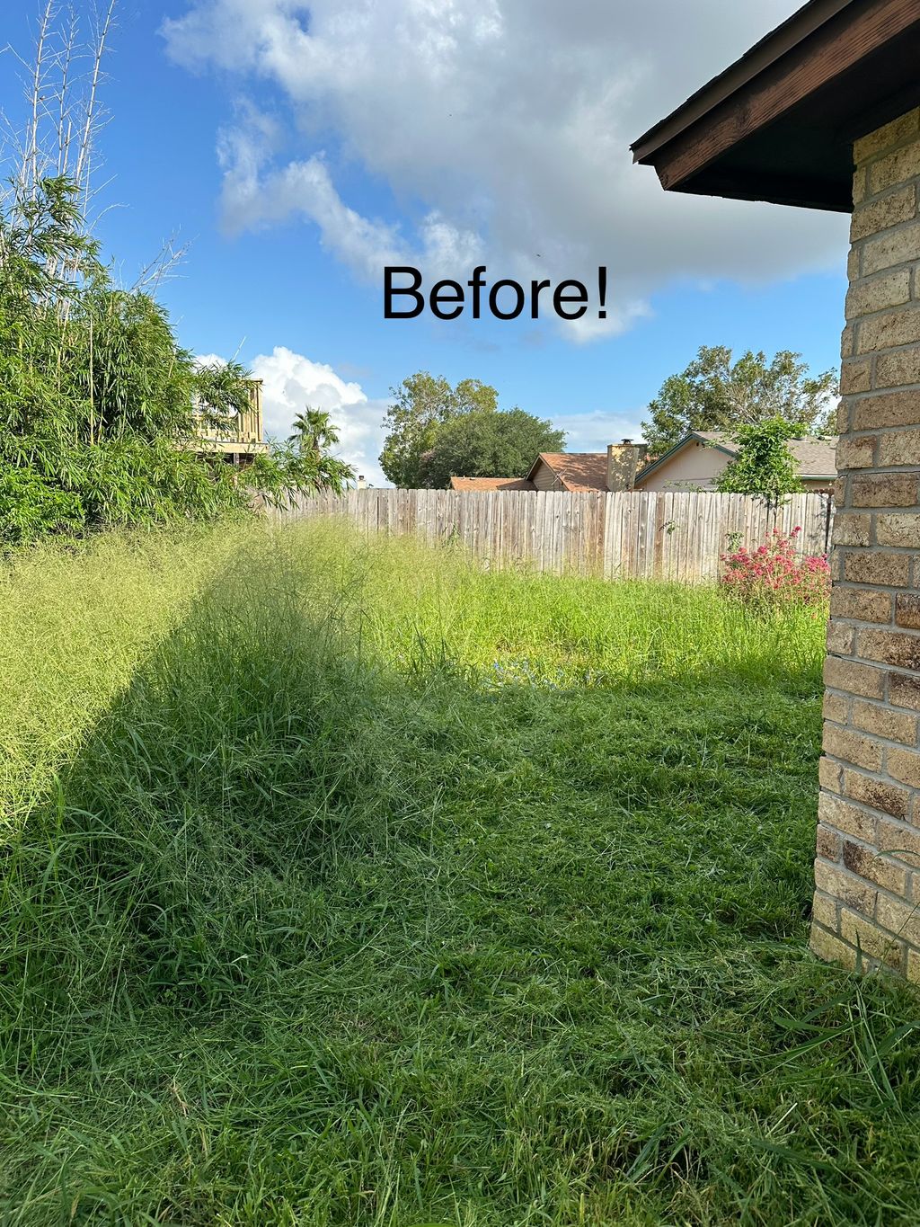 Lawn Mowing and Trimming