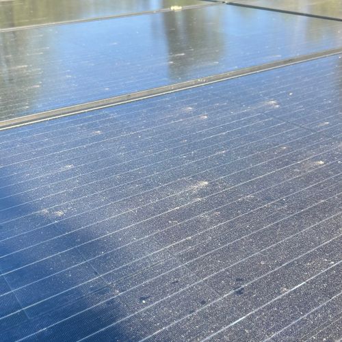 Solar Panel Cleaning