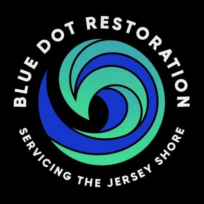 Avatar for Blue Dot Restoration