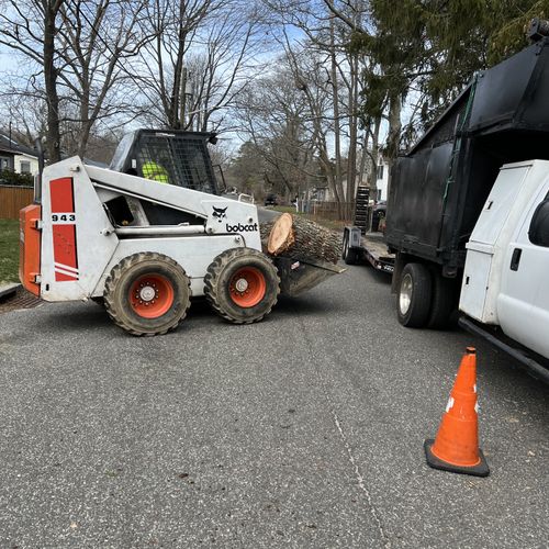 Tree Trimming and Removal