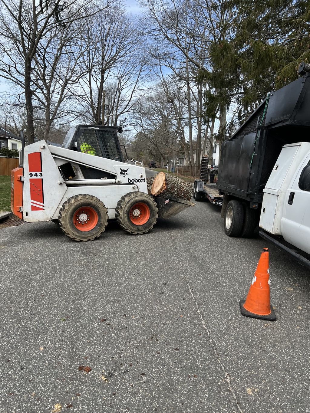 Tree Trimming and Removal