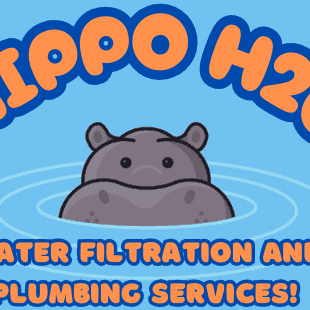 Avatar for hippo h2o