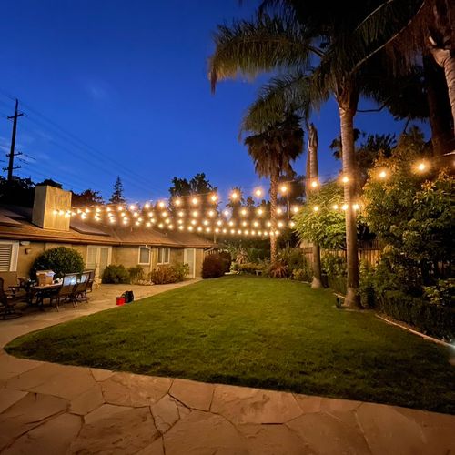 4 strings of LED lights outdoors