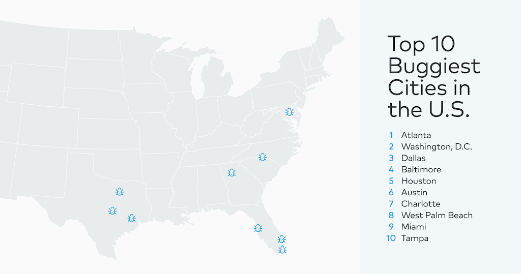 10 buggiest cities graphic