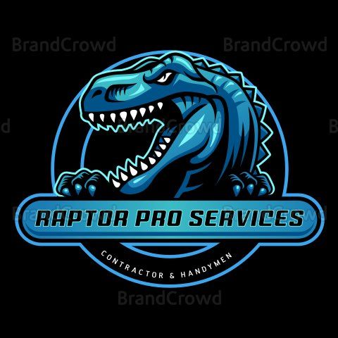 Raptor Pro Services