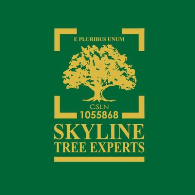 Avatar for Skyline Tree Experts