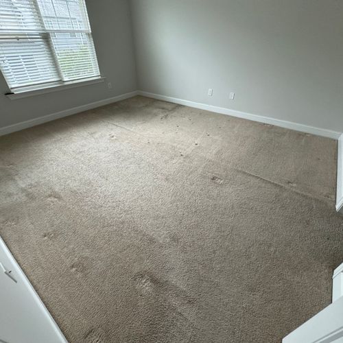 Carpet Installation