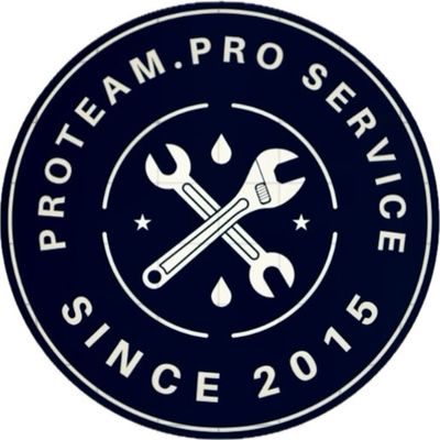 Avatar for Proteam Pro Services llc