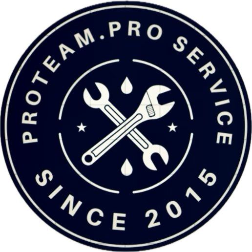 Proteam Pro Services llc