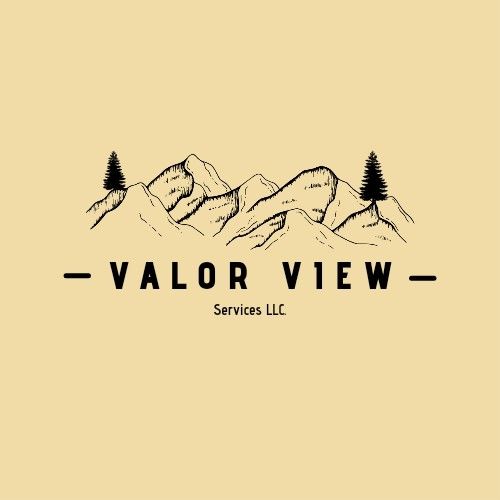 Valor View Services LLC