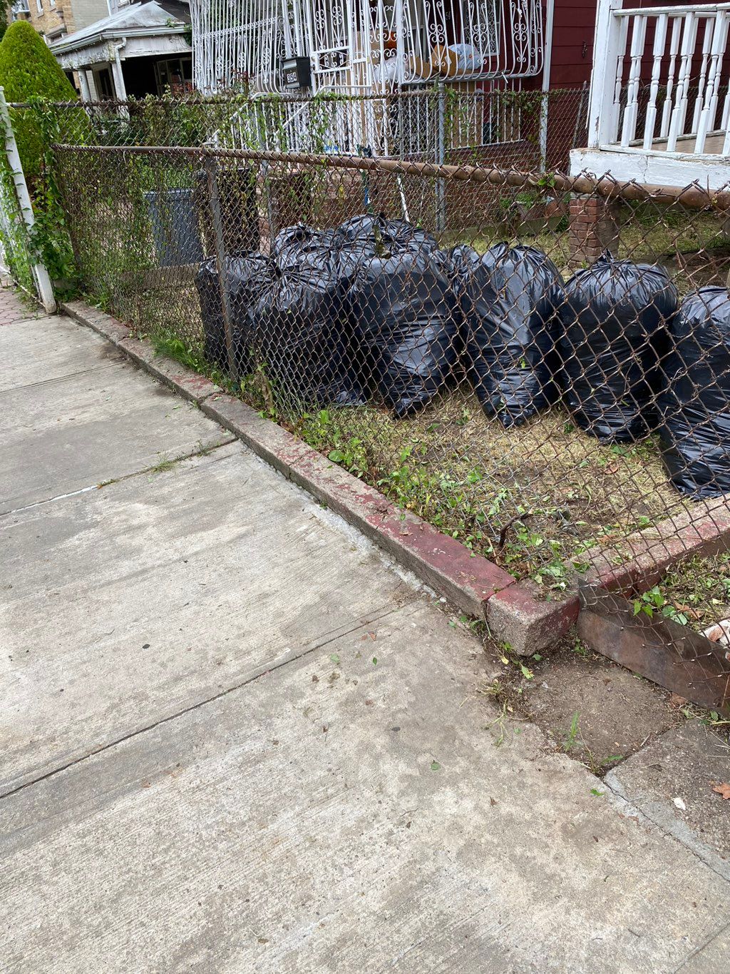 Hired Igor to do weed clean up on a single home pr