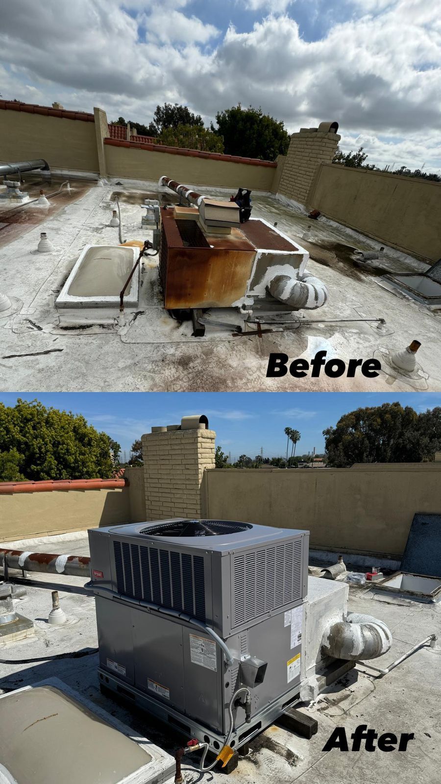 Projects and media