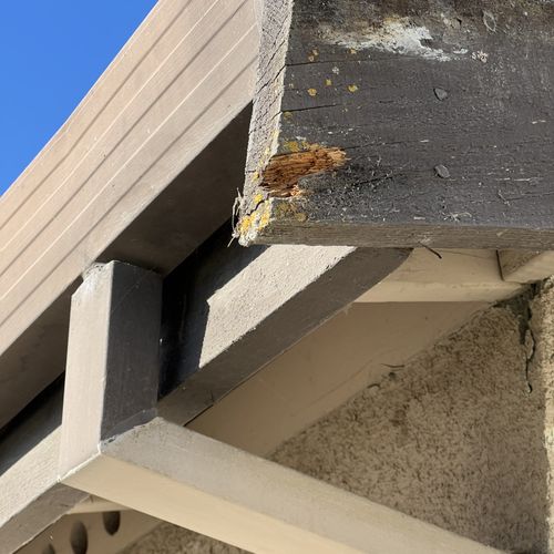 Roof Repair or Maintenance