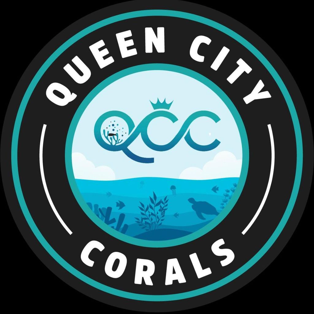 Queen City Corals