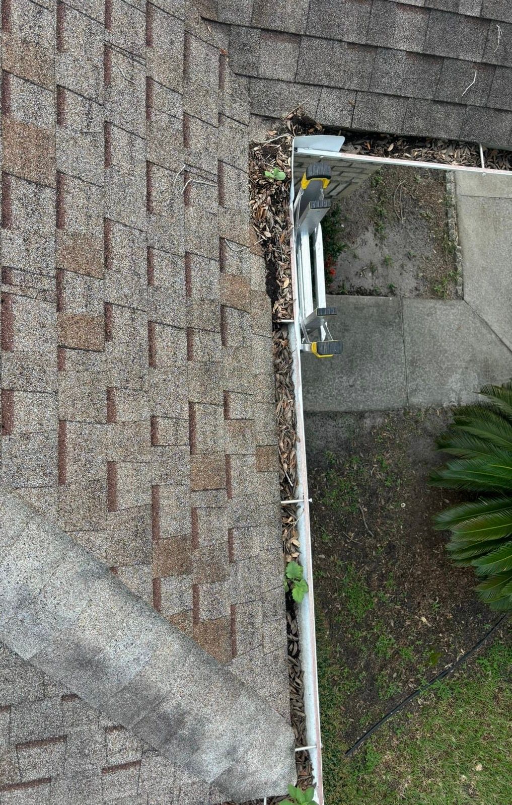 Gutter Cleaning and Maintenance