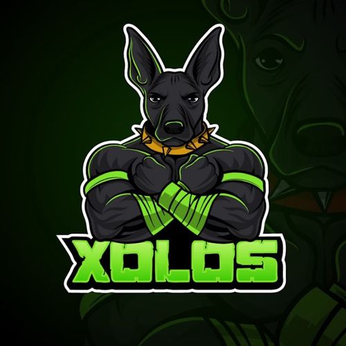 Xolos landscaping ,hauling and junk Removal.