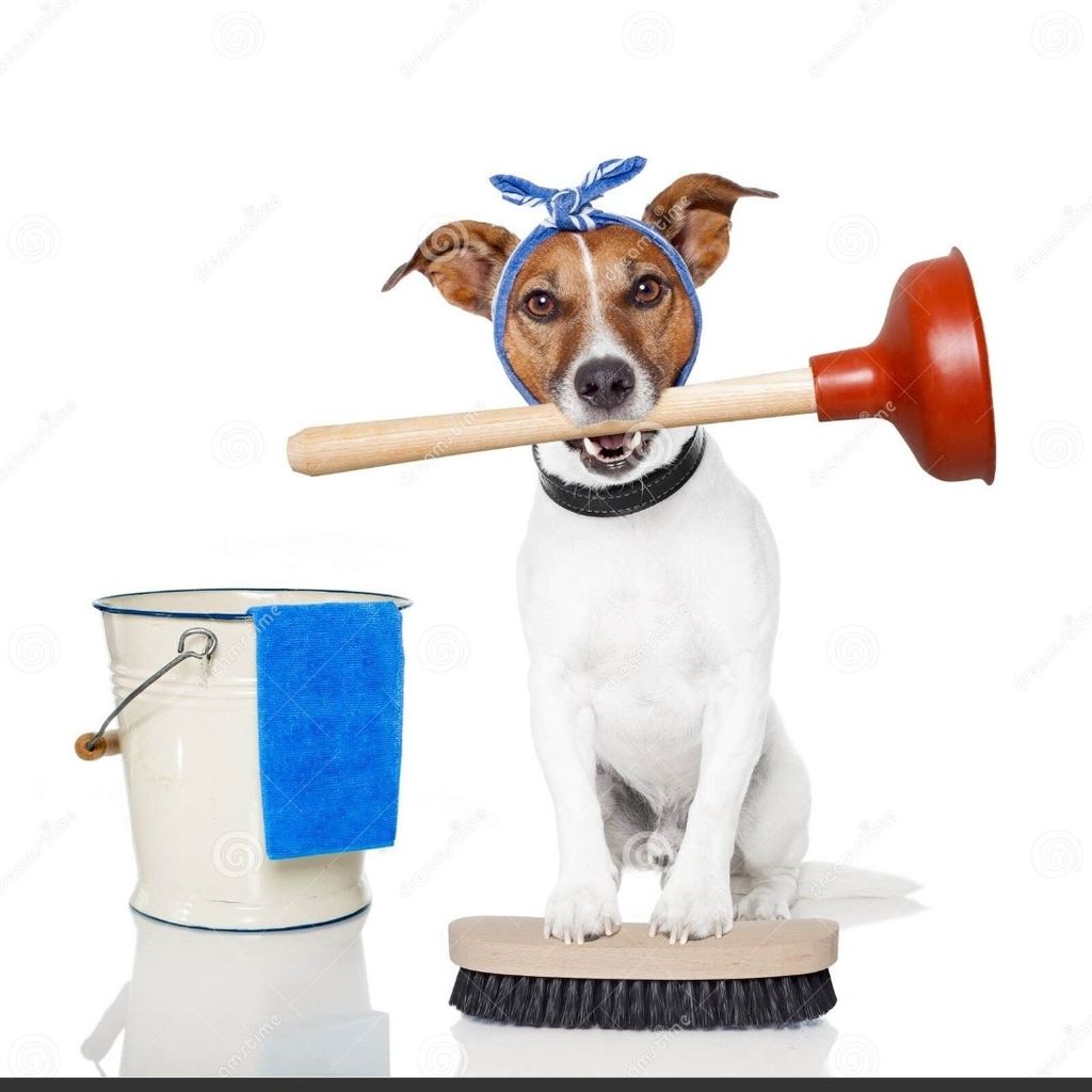 Your Keeper Home and Pet Services