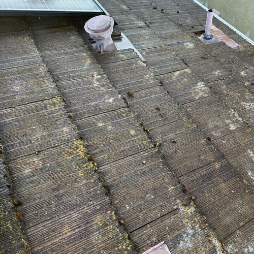 Roof Cleaning