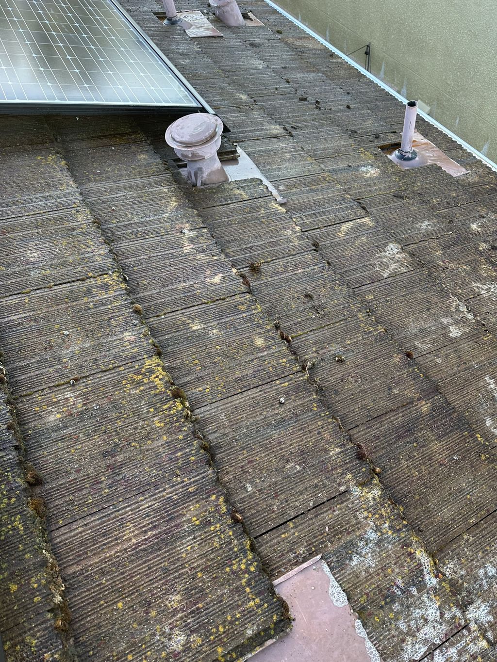 Roof Cleaning