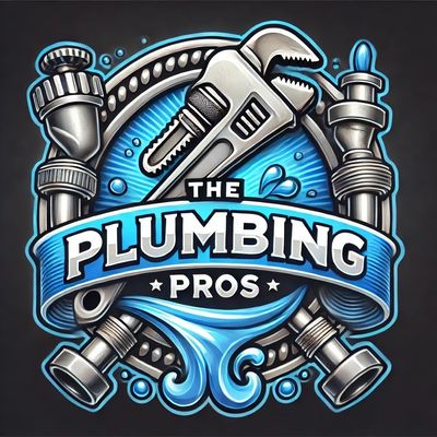 Avatar for The Plumbing Pros 1