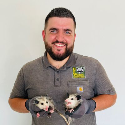 Avatar for DFW Wildlife Solutions