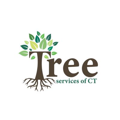 Avatar for Tree services of ct