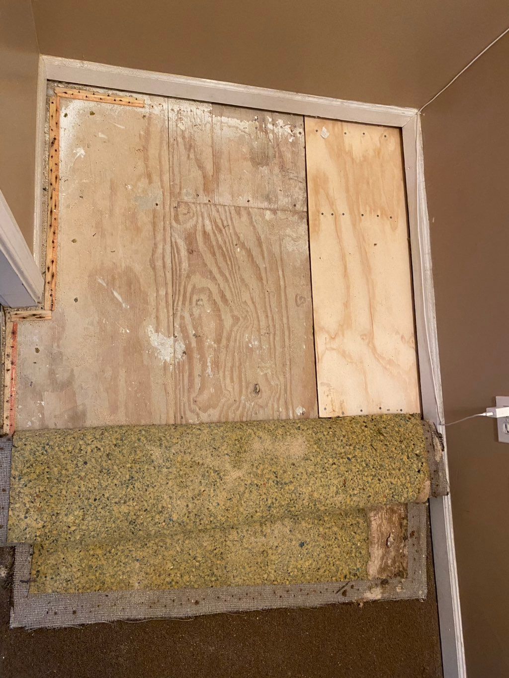 Rotten Wood Fixed