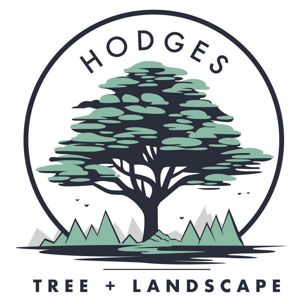 Hodges Tree and Landscape