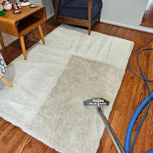 rug cleaning