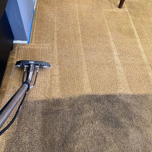 carpet cleaning