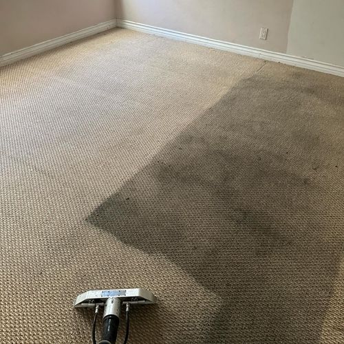 carpet cleaning