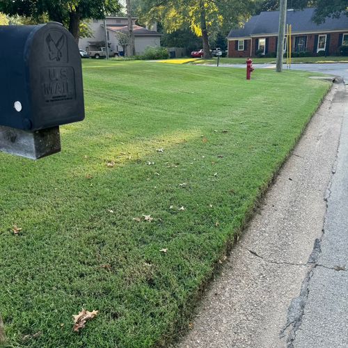 Very good work on our yard.  It looks excellent.  