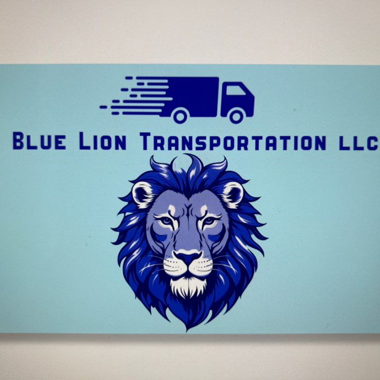 BLUE LION TRANSPORTATION LLC