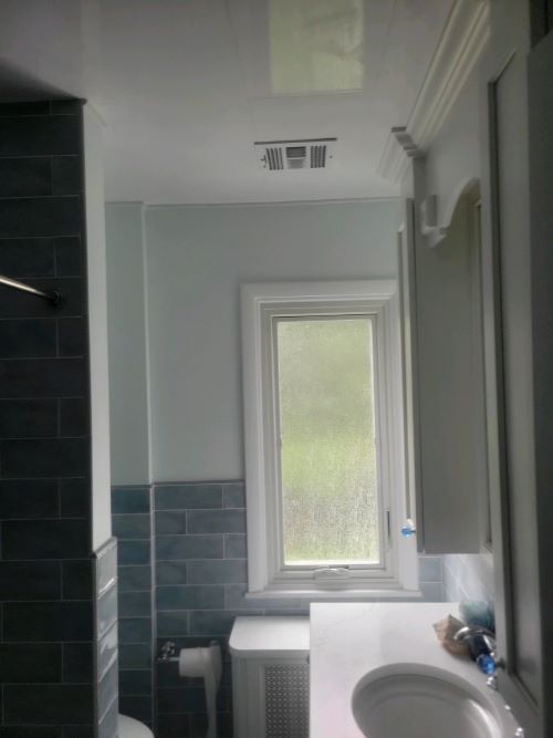 Bathroom Painting After, Dumont