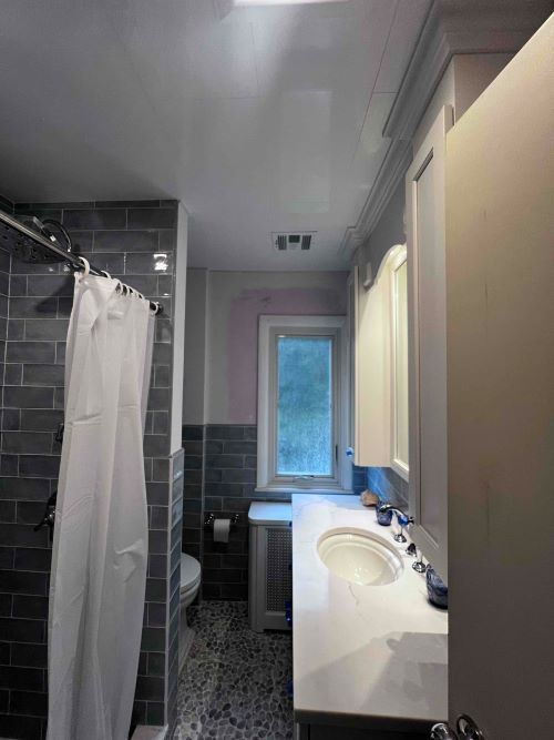 Bathroom Painting Before, Dumont