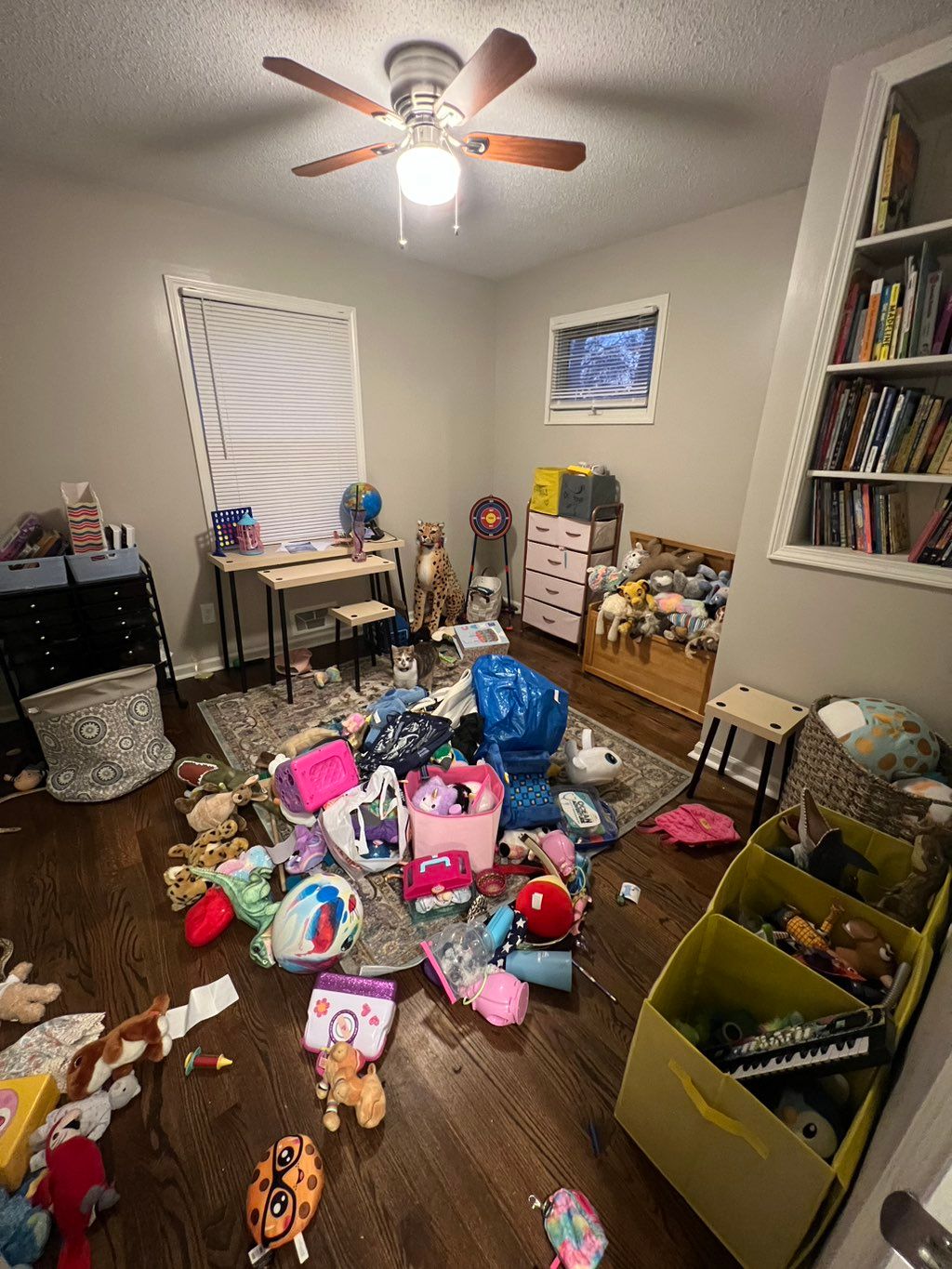 Before cleaning and organizing 