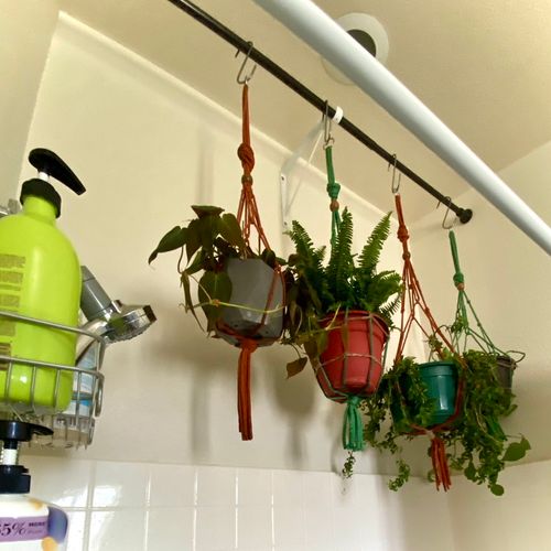 Plant rod installed above shower. 