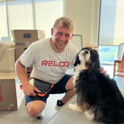 Avatar for RELOQ Moving Services